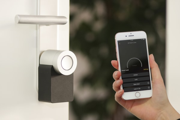 Securing IoT Devices: Best Practices for Firmware Development